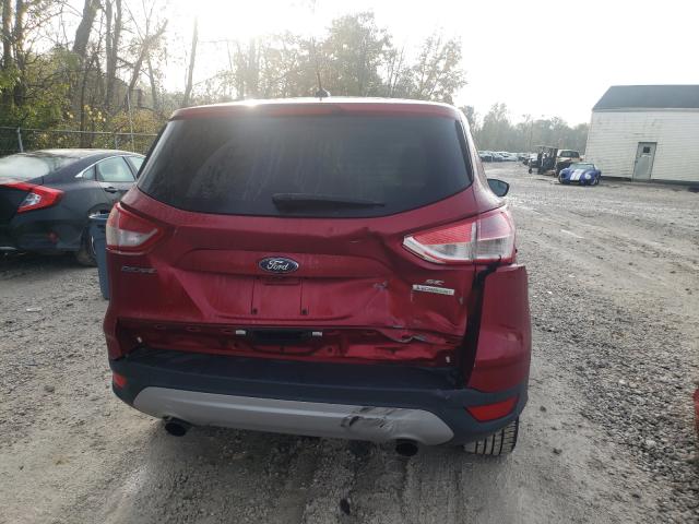 Photo 8 VIN: 1FMCU0GX5EUB42716 - FORD ESCAPE SE 