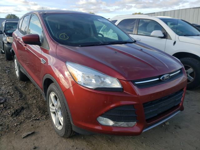 Photo 0 VIN: 1FMCU0GX5EUC00646 - FORD ESCAPE SE 