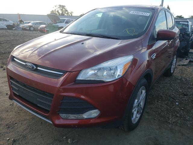 Photo 1 VIN: 1FMCU0GX5EUC00646 - FORD ESCAPE SE 