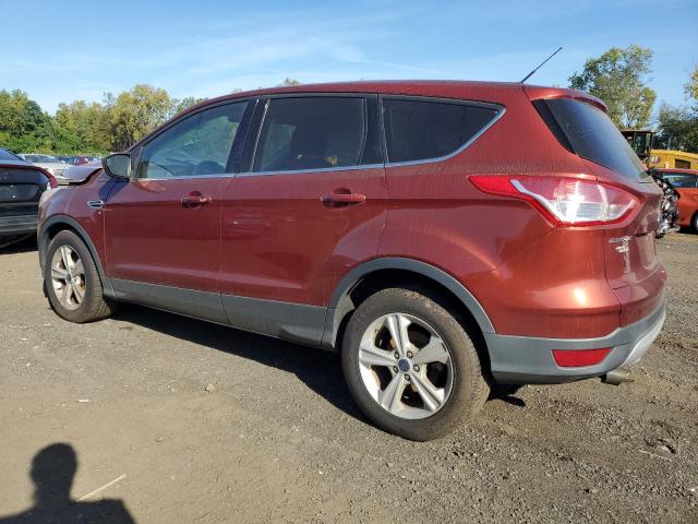 Photo 1 VIN: 1FMCU0GX5EUC09069 - FORD ESCAPE SE 