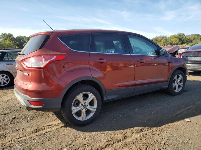 Photo 2 VIN: 1FMCU0GX5EUC09069 - FORD ESCAPE SE 