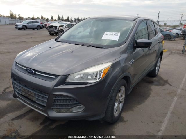 Photo 1 VIN: 1FMCU0GX5EUD66262 - FORD ESCAPE 