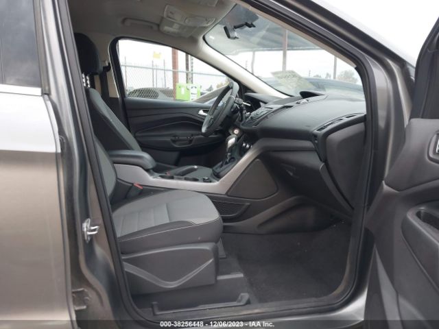 Photo 4 VIN: 1FMCU0GX5EUD66262 - FORD ESCAPE 