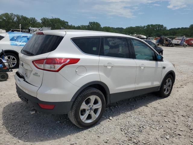 Photo 2 VIN: 1FMCU0GX5EUE00507 - FORD ESCAPE SE 