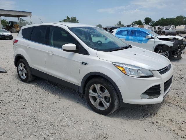 Photo 3 VIN: 1FMCU0GX5EUE00507 - FORD ESCAPE SE 