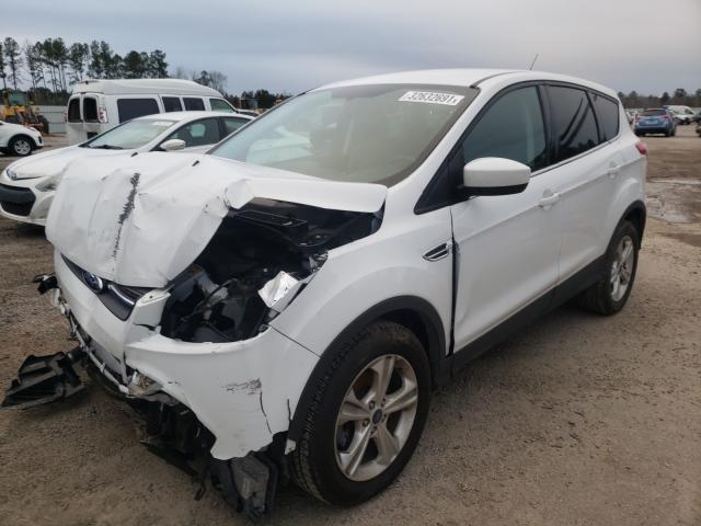 Photo 1 VIN: 1FMCU0GX5EUE37766 - FORD ESCAPE SE 