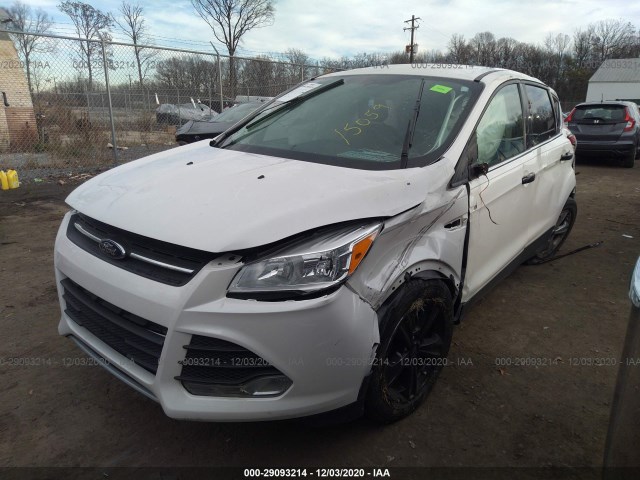 Photo 1 VIN: 1FMCU0GX5FUA15059 - FORD ESCAPE 