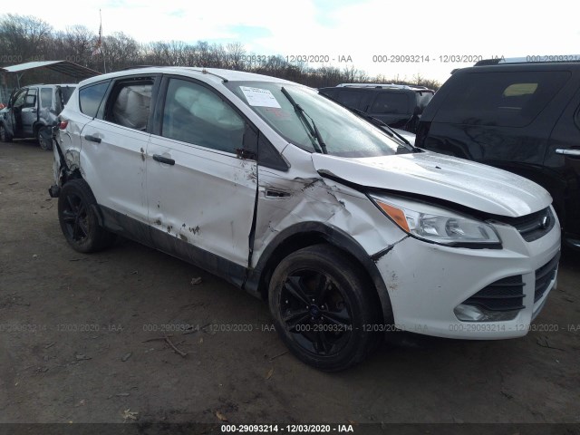 Photo 5 VIN: 1FMCU0GX5FUA15059 - FORD ESCAPE 