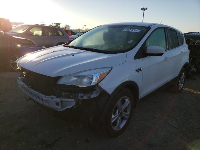 Photo 1 VIN: 1FMCU0GX5FUA43881 - FORD ESCAPE SE 