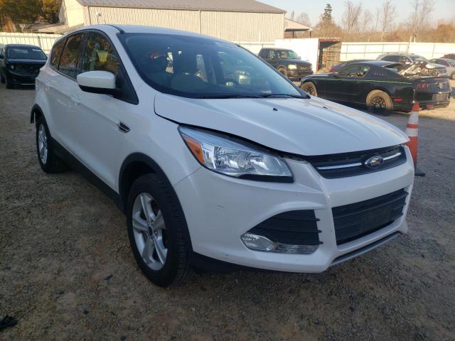 Photo 0 VIN: 1FMCU0GX5FUB00659 - FORD ESCAPE SE 