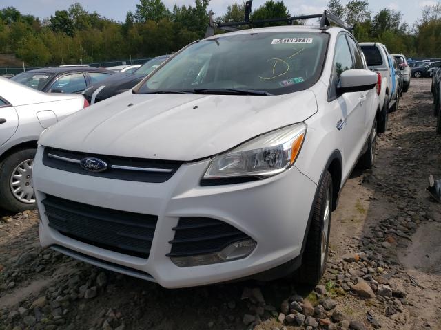 Photo 1 VIN: 1FMCU0GX6DUD71629 - FORD ESCAPE SE 