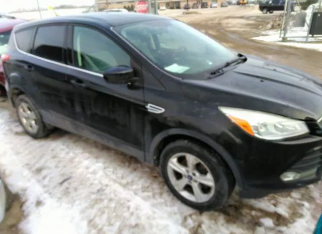 Photo 0 VIN: 1FMCU0GX6EUA47114 - FORD ESCAPE 