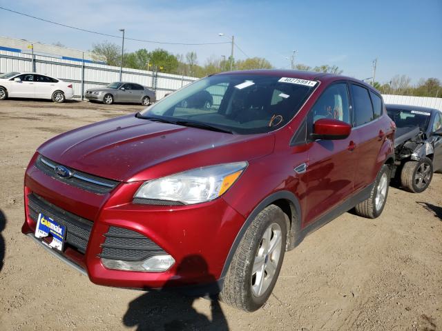 Photo 1 VIN: 1FMCU0GX6EUB13533 - FORD ESCAPE SE 