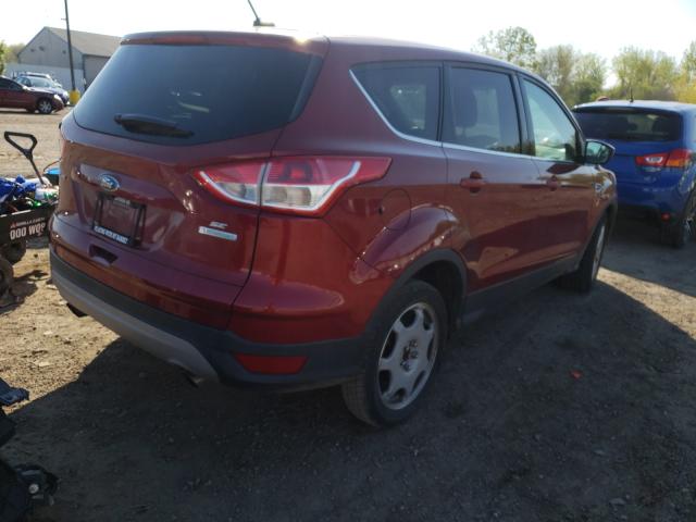 Photo 3 VIN: 1FMCU0GX6EUB13533 - FORD ESCAPE SE 