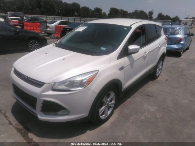 Photo 1 VIN: 1FMCU0GX6EUB61856 - FORD ESCAPE 