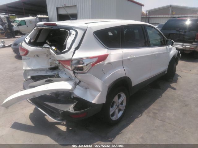 Photo 3 VIN: 1FMCU0GX6EUB61856 - FORD ESCAPE 