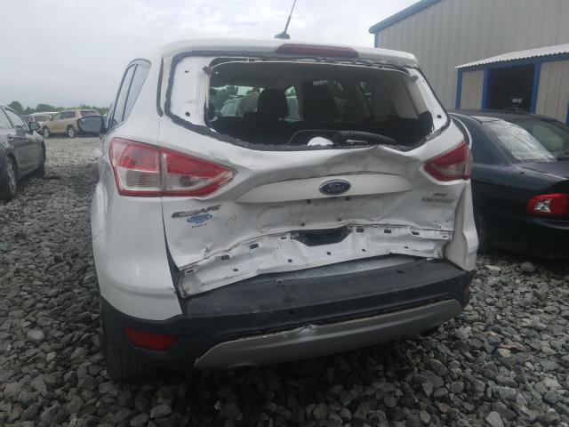 Photo 8 VIN: 1FMCU0GX6EUC76926 - FORD ESCAPE SE 