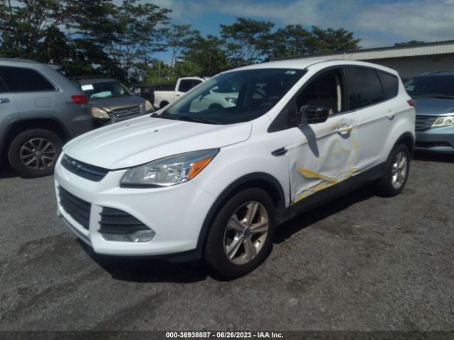 Photo 1 VIN: 1FMCU0GX6EUD03347 - FORD ESCAPE 