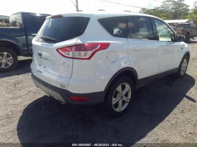 Photo 3 VIN: 1FMCU0GX6EUD03347 - FORD ESCAPE 