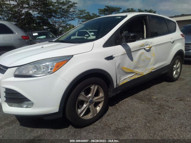 Photo 5 VIN: 1FMCU0GX6EUD03347 - FORD ESCAPE 