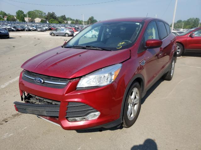 Photo 1 VIN: 1FMCU0GX6EUE35511 - FORD ESCAPE 