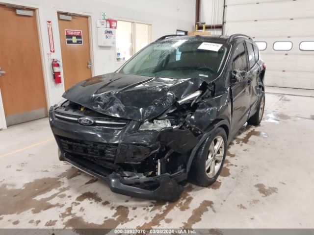 Photo 5 VIN: 1FMCU0GX6FUA45302 - FORD ESCAPE 