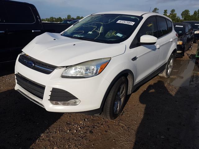 Photo 1 VIN: 1FMCU0GX6FUC66429 - FORD ESCAPE SE 