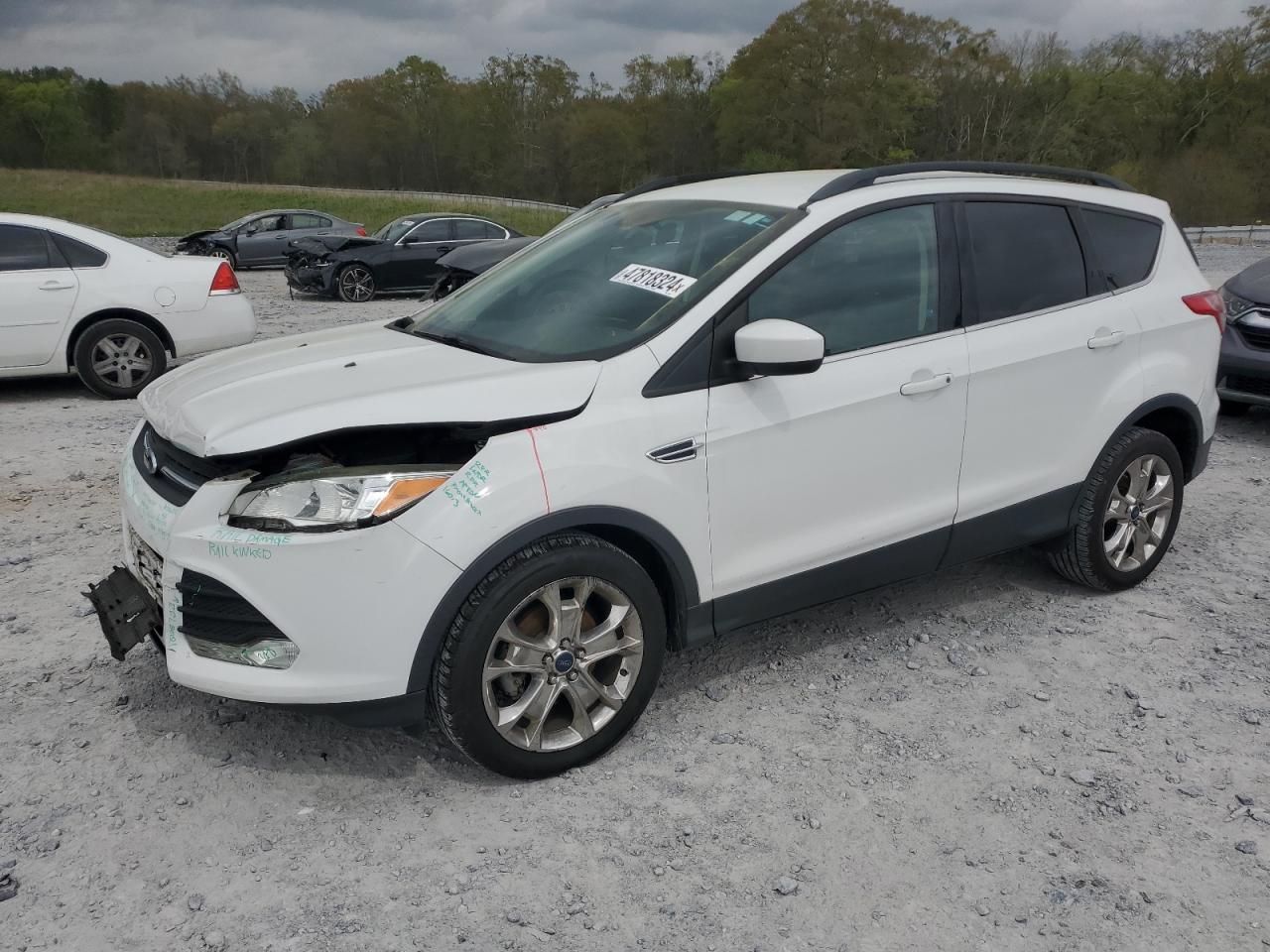 Photo 0 VIN: 1FMCU0GX6FUC74241 - FORD ESCAPE 