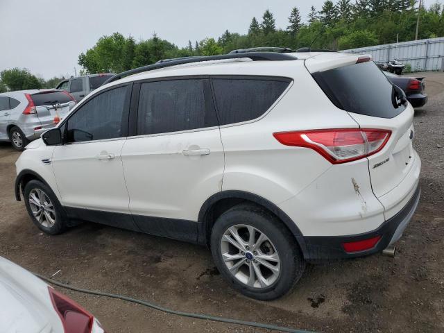 Photo 1 VIN: 1FMCU0GX7DUA01905 - FORD ESCAPE 