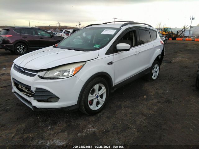 Photo 1 VIN: 1FMCU0GX7DUA38162 - FORD ESCAPE 