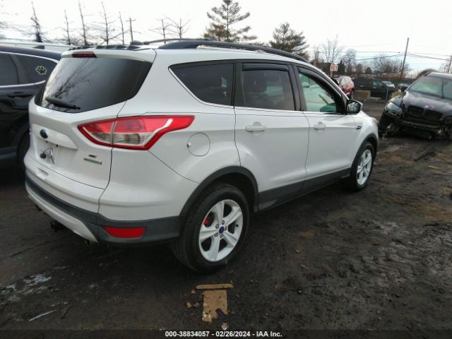 Photo 3 VIN: 1FMCU0GX7DUA38162 - FORD ESCAPE 