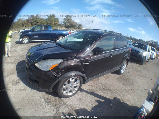 Photo 1 VIN: 1FMCU0GX7DUB13121 - FORD ESCAPE 