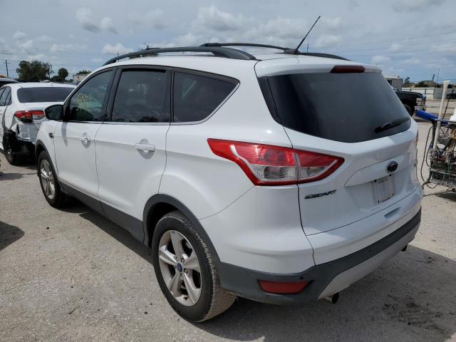 Photo 2 VIN: 1FMCU0GX7DUB56499 - FORD ESCAPE SE 