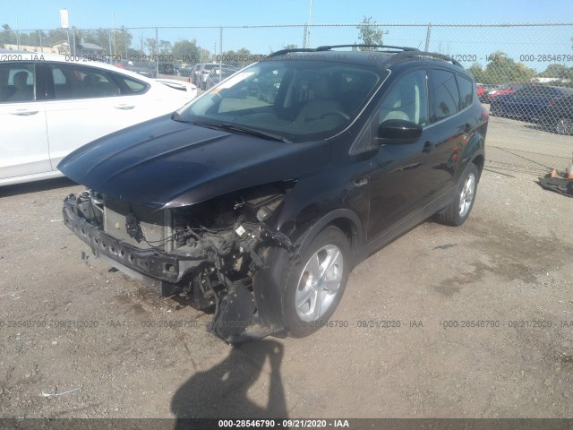 Photo 1 VIN: 1FMCU0GX7DUB79555 - FORD ESCAPE 