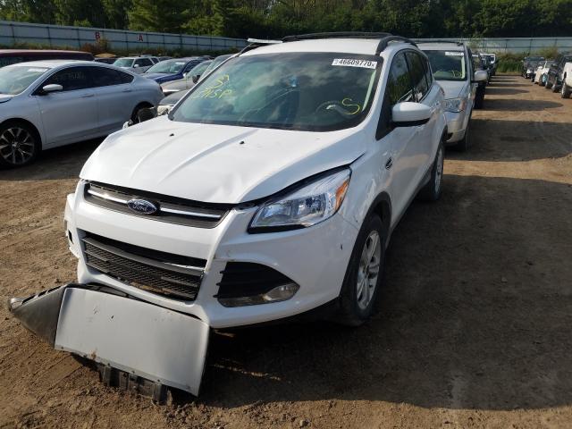 Photo 1 VIN: 1FMCU0GX7DUC01487 - FORD ESCAPE SE 