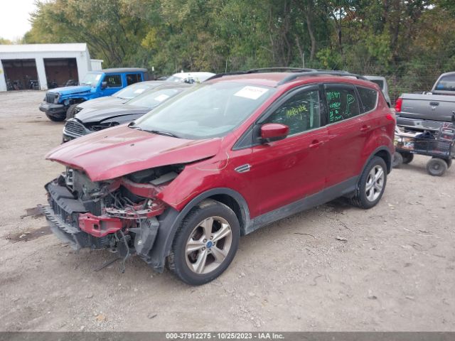 Photo 1 VIN: 1FMCU0GX7DUC69613 - FORD ESCAPE 