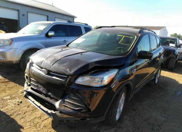 Photo 1 VIN: 1FMCU0GX7DUC77520 - FORD ESCAPE 