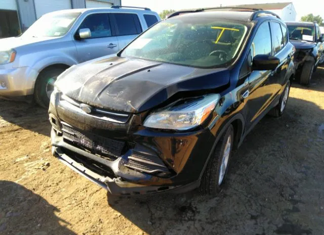 Photo 5 VIN: 1FMCU0GX7DUC77520 - FORD ESCAPE 