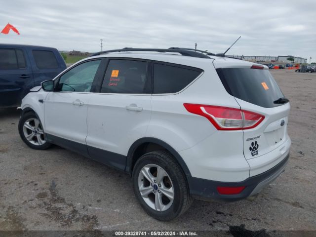 Photo 2 VIN: 1FMCU0GX7DUD64429 - FORD ESCAPE 