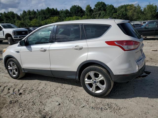 Photo 1 VIN: 1FMCU0GX7DUD76077 - FORD ESCAPE SE 