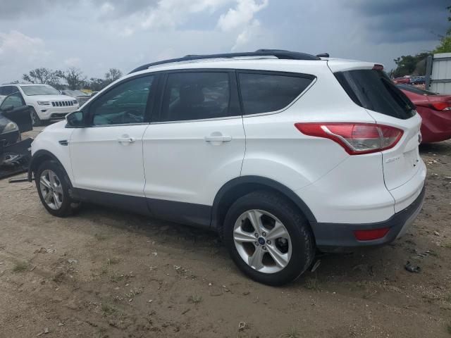 Photo 1 VIN: 1FMCU0GX7DUD83868 - FORD ESCAPE SE 