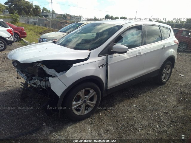 Photo 1 VIN: 1FMCU0GX7DUD91050 - FORD ESCAPE 