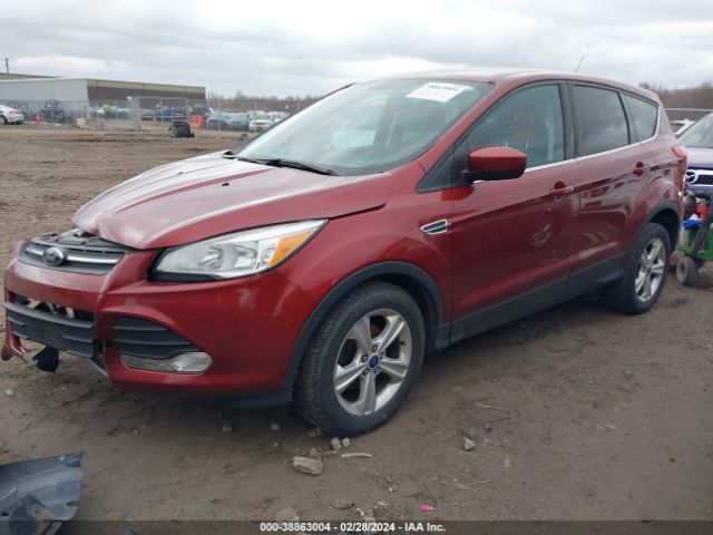 Photo 1 VIN: 1FMCU0GX7EUA03588 - FORD ESCAPE 