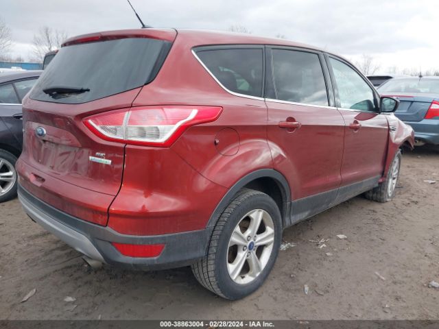 Photo 3 VIN: 1FMCU0GX7EUA03588 - FORD ESCAPE 