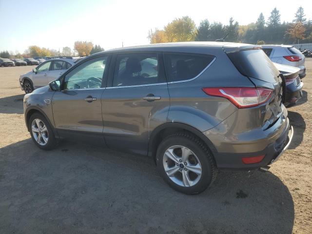 Photo 1 VIN: 1FMCU0GX7EUA08502 - FORD ESCAPE SE 