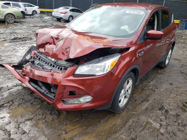 Photo 1 VIN: 1FMCU0GX7EUA11237 - FORD ESCAPE SE 