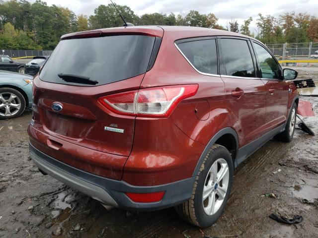 Photo 3 VIN: 1FMCU0GX7EUA11237 - FORD ESCAPE SE 