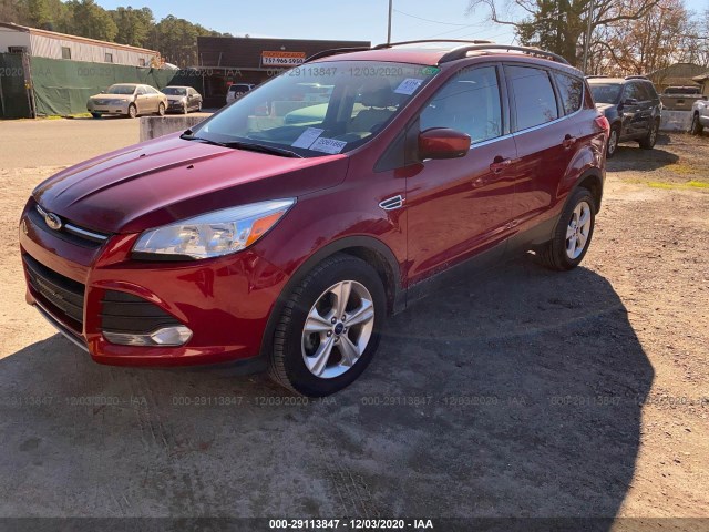 Photo 1 VIN: 1FMCU0GX7EUB38294 - FORD ESCAPE 