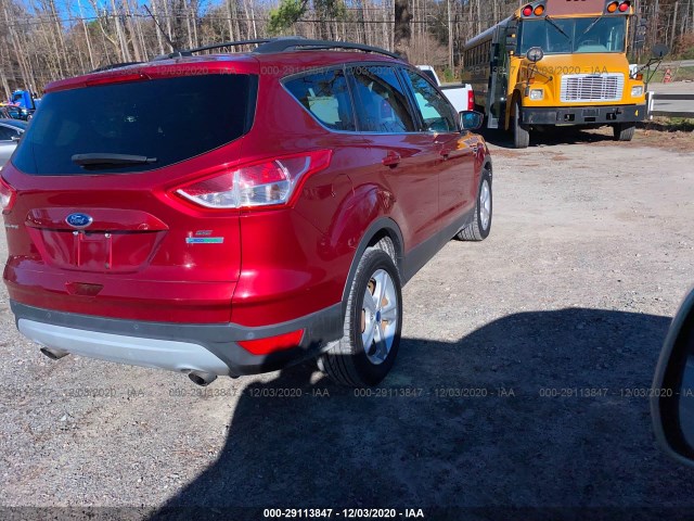 Photo 3 VIN: 1FMCU0GX7EUB38294 - FORD ESCAPE 