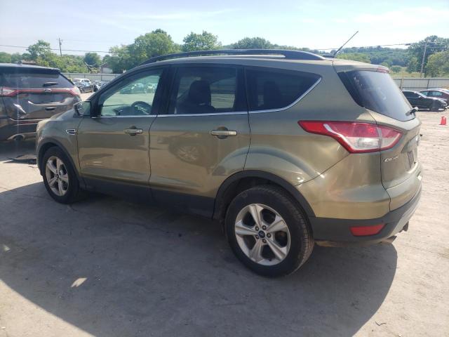 Photo 1 VIN: 1FMCU0GX7EUB44189 - FORD ESCAPE 